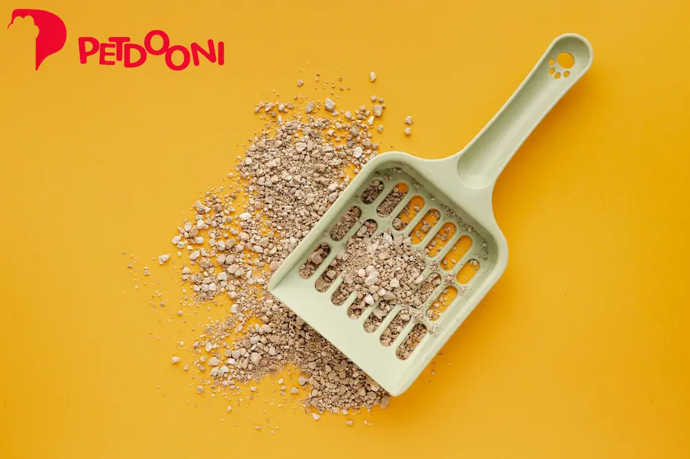 مناسب‌ترین خاک برای گربه | راهنمای خرید بهترین خاک گربه در پت دونی 1404